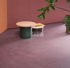 Forbo Marmoleum Decibel on Order 327235 plum фото 2 | FLOORDEALER